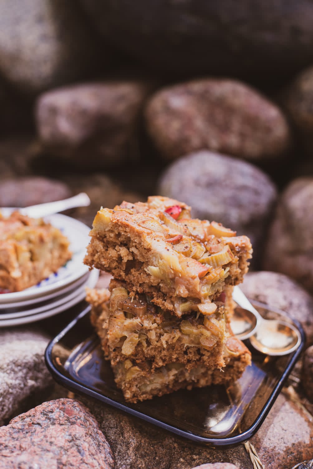 Kadi's Favourite Rhubarb Cake - Paula Särekanno